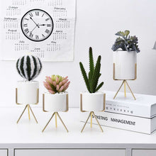 Load image into Gallery viewer, Garden Geometric Plant Stand Ceramic Pot Succulent Flower Iron Cross Low Rack Holder