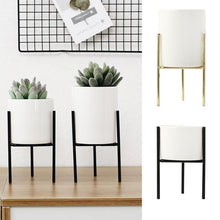 Load image into Gallery viewer, Garden Geometric Plant Stand Ceramic Pot Succulent Flower Iron Parallel Low Rack Holder
