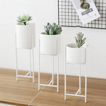 Load image into Gallery viewer, Garden Geometric Plant Stand Ceramic Pot Succulent Flower Iron Parallel Low Rack Holder