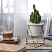 Load image into Gallery viewer, Garden Geometric Plant Stand Ceramic Pot Succulent Flower Iron Low Rack Holder