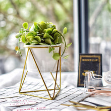 Load image into Gallery viewer, Garden Geometric Plant Stand Ceramic Pot Succulent Flower Iron Low Rack Holder