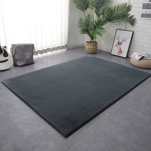Load image into Gallery viewer, Winter Super Soft Fluffy Rug Large Area Mat Faux Fur Rug