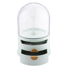 Load image into Gallery viewer, Dust-free Jewellery Storage Box with Tree Stand