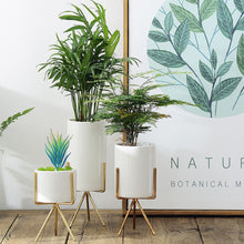 Load image into Gallery viewer, Geometric Plant Stand Metal and Ceramic Indoor Flower Pot Rack