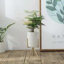 Load image into Gallery viewer, Geometric Plant Stand Metal and Ceramic Indoor Flower Pot Rack