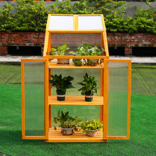 Load image into Gallery viewer, Garden Wooden Polycarbonate Plant Growhouse