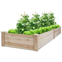 Load image into Gallery viewer, Garden Rectangular Wood Bed Flower Vegetable Plant Seeds Bed