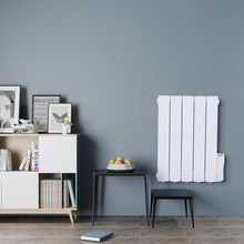 Load image into Gallery viewer, 2000W Oil Filled Electric Radiator Heater Wall Mounted or Portable with LCD Thermostat Space Heaters Living and Home 900W 450*575*80mm 
