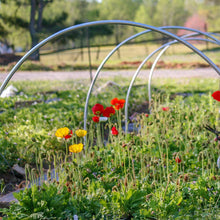 Load image into Gallery viewer, High-quality Galvanized Zinc Iron Greenhouse Hoop with Easy-Grip Clips Greenhouses Living and Home Semi-circular Style/108cm W x 100cm H 
