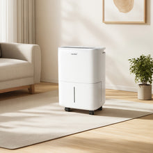 Load image into Gallery viewer, Dry 12L/DAY Dehumidifier for Home with 2.5L Water Tank
