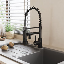 Load image into Gallery viewer, Stainless Steel Kitchen Faucet with Pull Down Spring Spout and Pot Filler Kitchen Taps Living and Home Black 
