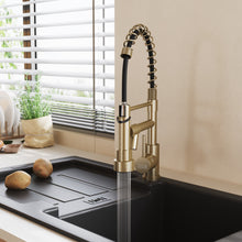 Load image into Gallery viewer, Stainless Steel Kitchen Faucet with Pull Down Spring Spout and Pot Filler
