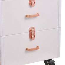 Load image into Gallery viewer, Professional 3 in 1 Cosmetic Trolley Case Makeup Box on Wheels
