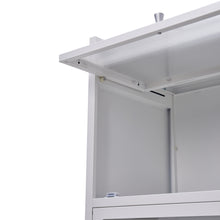 Load image into Gallery viewer, Vertical File Cabinet For Home Office Storage Cabinet with 3 Shelves
