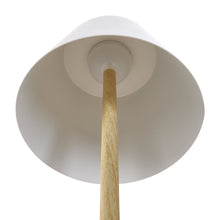 Load image into Gallery viewer, 2-in-1 Cat Climbing Frame Floor Lamp
