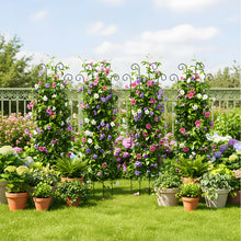 Load image into Gallery viewer, 4-Pack Outdoor Metal Trellis Set for Climbing Plants
