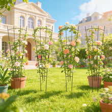 Load image into Gallery viewer, 4-Pack Outdoor Metal Trellis Set for Climbing Plants
