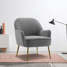 Load image into Gallery viewer, Leisure Velvet Armchair with Gold-plated Metal Legs Other Occasional Chairs Living and Home Light Grey 
