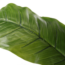 Load image into Gallery viewer, Artificial Tropical Plant with Plastic Flowerpot Home and Office Plant Decoration
