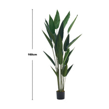 Load image into Gallery viewer, 160cm Artificial Bird of Paradise Plant Fake Tropical Tree in Pot
