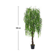 Load image into Gallery viewer, Lifelike Artificial Willow Tree 180cm Tall
