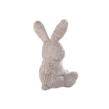 Load image into Gallery viewer, Large-Ear Plush Rabbit Stuffed Doll
