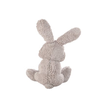Load image into Gallery viewer, Large-Ear Plush Rabbit Stuffed Doll
