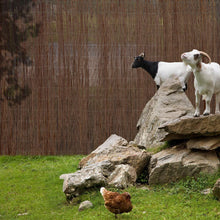 Load image into Gallery viewer, Garden Willow Fence Screening Roll Privacy Protection
