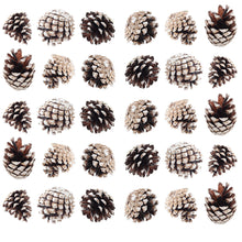 Load image into Gallery viewer, Livingandhome 30 Pieces Real Pine Cone Dyed with White Paint Christmas Tree Hanging Ornament Set, CD0370
