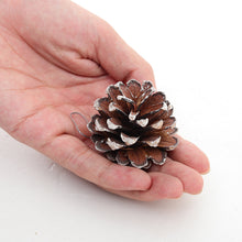 Load image into Gallery viewer, Livingandhome 30 Pieces Real Pine Cone Dyed with White Paint Christmas Tree Hanging Ornament Set, CD0370
