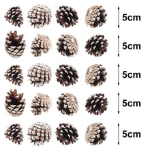 Load image into Gallery viewer, Livingandhome 30 Pieces Real Pine Cone Dyed with White Paint Christmas Tree Hanging Ornament Set, CD0370
