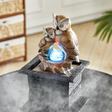 Load image into Gallery viewer, Owl Electric Resin Water Feature Fountain LED Ball
