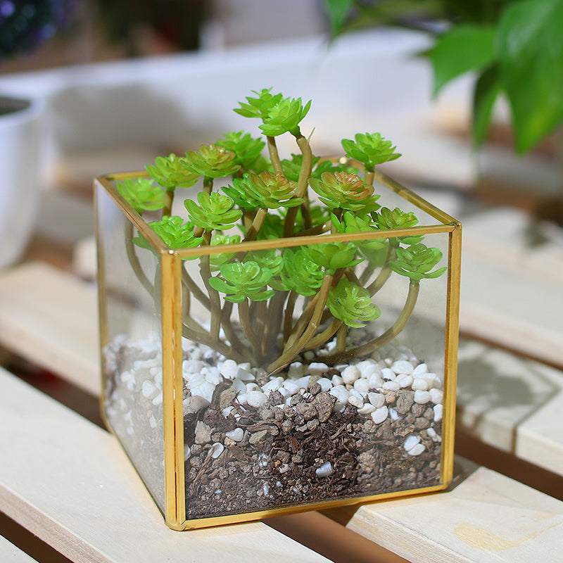 Cubic Glass Terrarium Micro Landscape Flower Pot