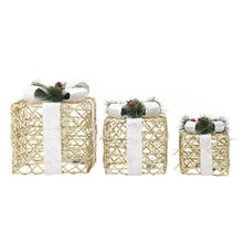 Load image into Gallery viewer, 3 Piece Gift Boxed Christmas Decoration Lighted Display Set
