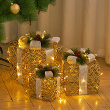 Load image into Gallery viewer, 3 Piece Gift Boxed Christmas Decoration Lighted Display Set
