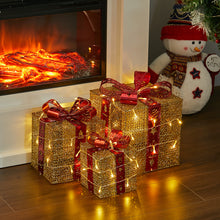 Load image into Gallery viewer, 3 Piece Gift Boxed Christmas Decoration Lighted Display Set
