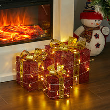 Load image into Gallery viewer, 3 Piece Gift Boxed Christmas Decoration Lighted Display Set
