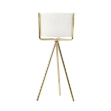 Load image into Gallery viewer, Garden Geometric Plant Stand Ceramic Pot Succulent Flower Iron Cross Low Rack Holder

