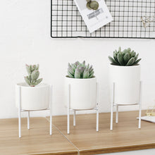 Load image into Gallery viewer, Garden Geometric Plant Stand Ceramic Pot Succulent Flower Iron Parallel Low Rack Holder
